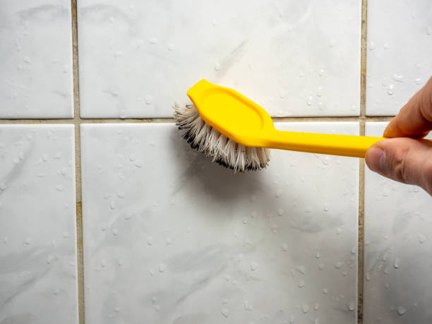 Best Insurance-Related Mold Remediation in Montgomery, TX