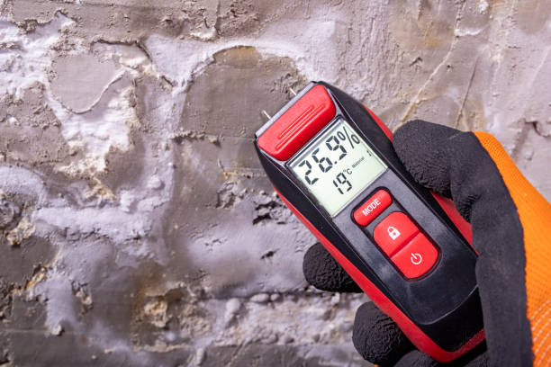 Best DIY Mold Remediation Support Services in Montgomery, TX