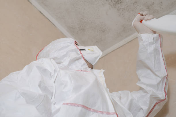 Professional Mold Remediation in Montgomery, TX