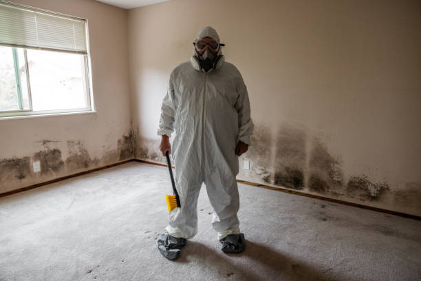 Best Emergency Mold Remediation in Montgomery, TX
